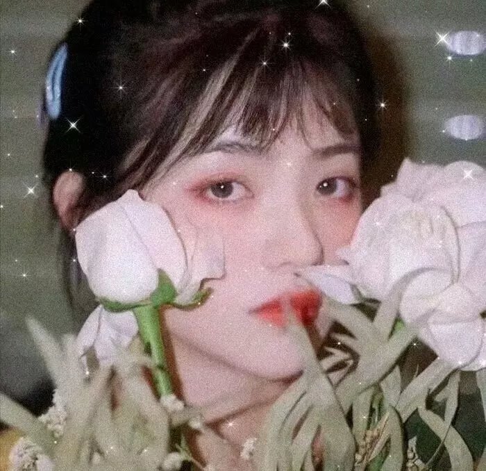 女生万岁第二季