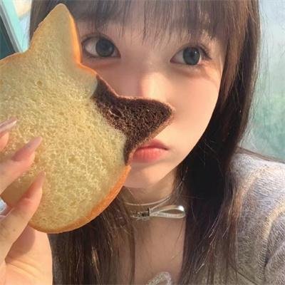 最后的狮子
